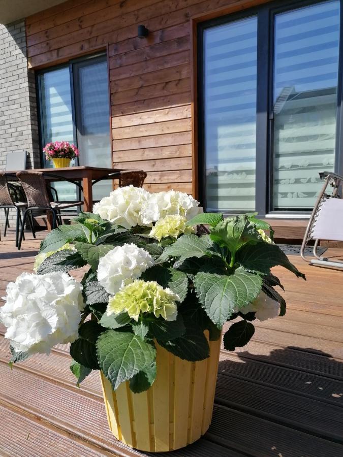 Geltoni Apartamentai Połąga Zewnętrze zdjęcie