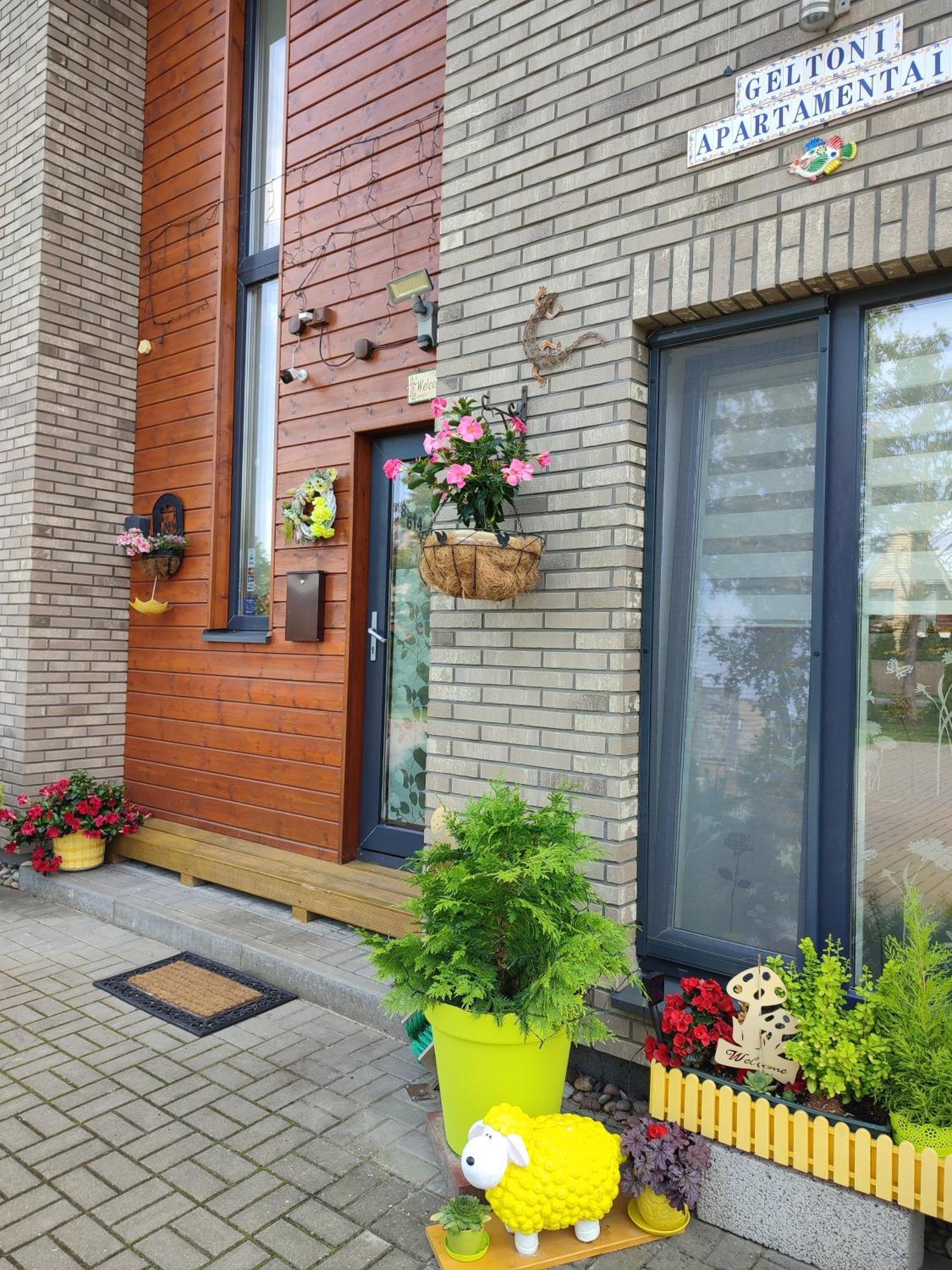 Geltoni Apartamentai Połąga Zewnętrze zdjęcie