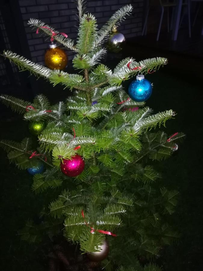 Geltoni Apartamentai Połąga Zewnętrze zdjęcie